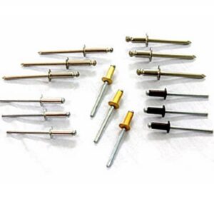 cau-tao-cua-cac-loai-dinh-rut