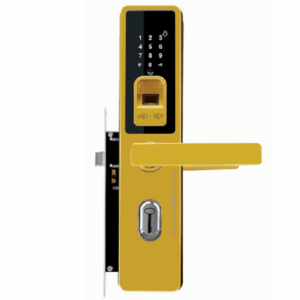 khoa-thong-minh-viet-tiep