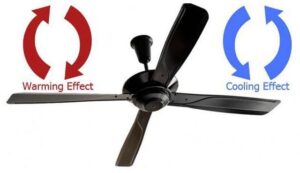 mot-so-quat-co-2-chieu-quay