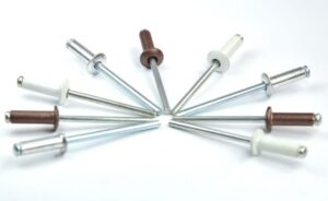 nhung-dieu-can-biet-ve-dinh-rive