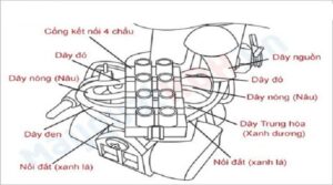 so-do-dau-day-quat-tran