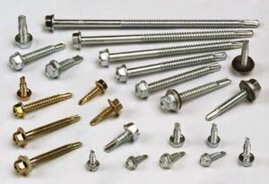 Vit ban ton duoc cau tao chu yeu gom dau vit than vit nam vit va vong dem