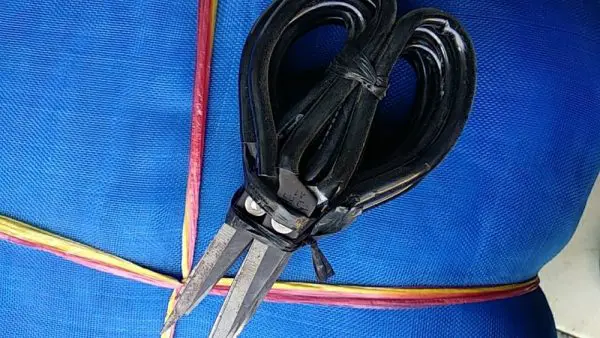 Bizweb 1555060436801.jpg