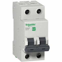 Cầu dao tép MCB Easy9 2P 40A 4.5kA Schneider EZ9F34240