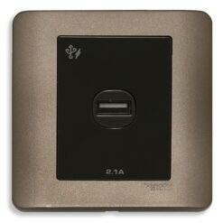 Bộ ổ sạc USB Zencelo đơn 2.1A màu đồng Schneider E8431USB_SZ_G19