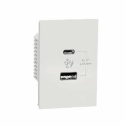 Ổ sạc AvatarOn A USB type A + C 2.4A size 2S Schneider M3T_USB2_WE