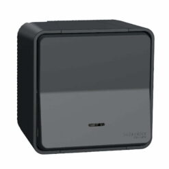 Bộ công tắc Mureva đơn 2 chiều 10AX có đèn LED chống thấm IP55 Schneider MUR35024