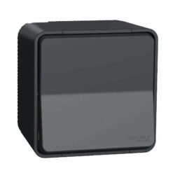 Bộ công tắc Mureva đơn 2 cực 16AX chống thấm IP55 Schneider MUR35033