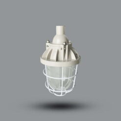 Đèn chống nổ bóng LED Bulb E27 20W sáng vàng EEW BCD200/30