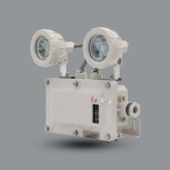 Đèn Emergency chống nổ LED 4W EEW ESL102