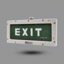 Đèn Exit chống nổ LED 2W EEW ESL101