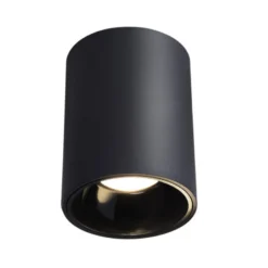 Đèn LED downlight trụ vỏ đen 12W IP54 sáng trung tính 4000K Nanoco NSDL12W409040B54