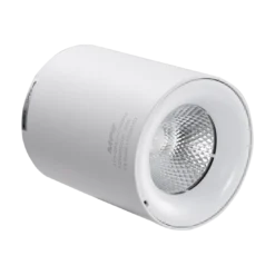 Đèn LED lon chiếu điểm gắn nổi 12W sáng trắng MPE SDL-12T